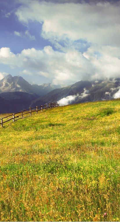 schoenblick-alm-sommer-02